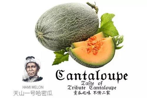 吃瓜链接网站推荐免费,免费畅享娱乐资讯,轻松掌握热点动态 第3张 吃瓜链接网站推荐免费,免费畅享娱乐资讯,轻松掌握热点动态 第3张